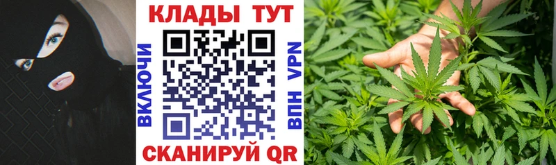 Купить закладку Лосино-Петровский Cocaine  ГАШ  Альфа ПВП  Каннабис 