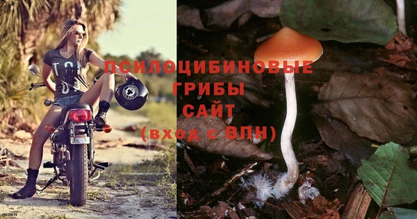 MDMA Новозыбков
