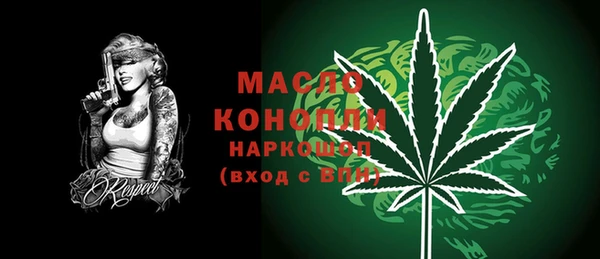 крисы Няндома