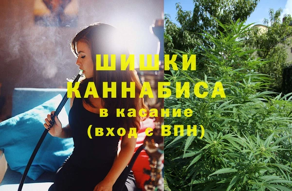 крисы Няндома