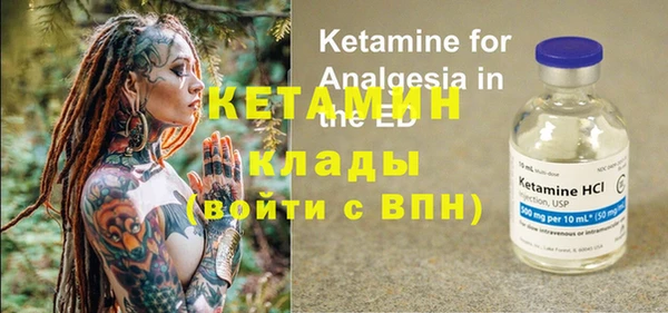 крисы Няндома