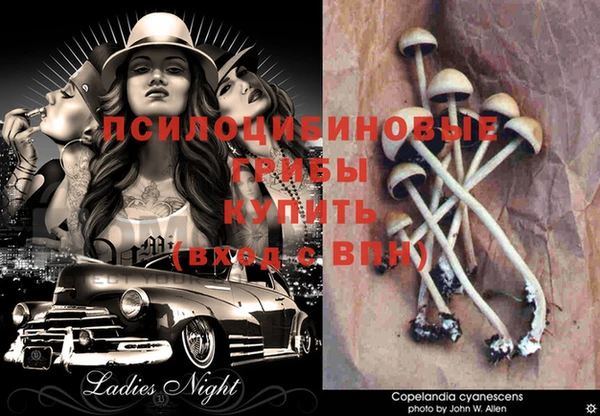 крисы Няндома