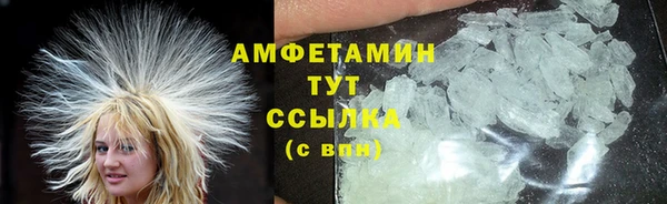 крисы Няндома