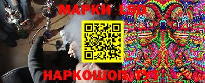 гидра Донской