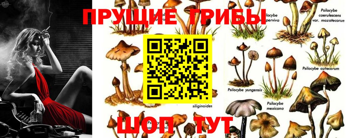 Галлюциногенные грибы мухоморы  Вход с VPN  Псилоцибиновые грибы Psilocybe  Лосино-Петровский 